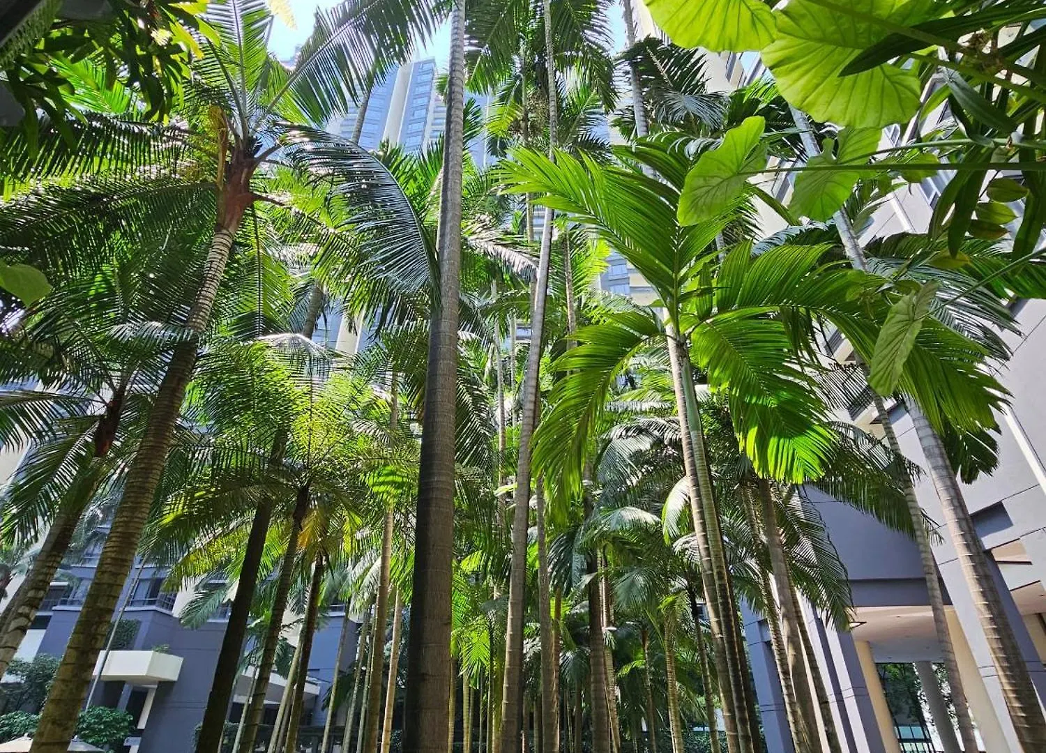 쿠알라룸푸르 St Mary Klcc 3Br6Pax Twin Towers View 아파트 말레이시아
